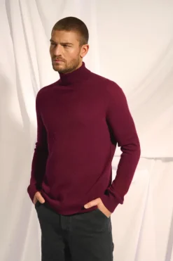 CONNOR pull col roulé mûre