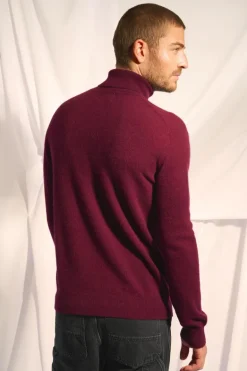 CONNOR pull col roulé mûre