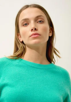 JANE pull col rond jungle